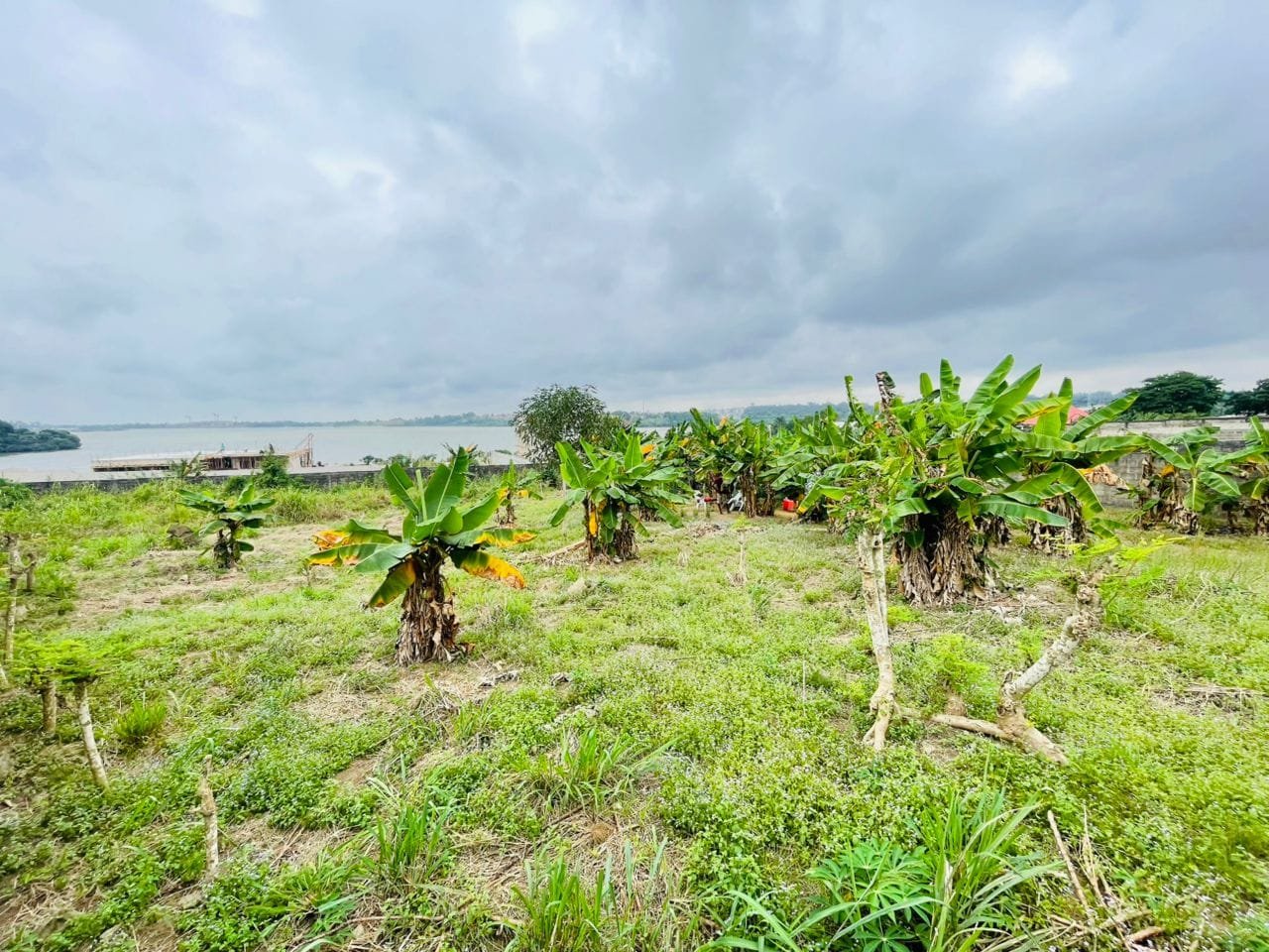 Terrain vue lagunaire en vente