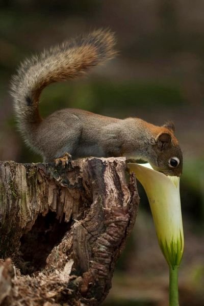 Candle Love Spells  +27786380840 SANGOMA in Guinea, Guinea-Bissau, Guyana, Haiti, Holy See, Honduras, Hong Kong, Hungary, Iceland, Indonesia , South Africa, Iran, Iraq, Ireland, Israel, Italy, Jamaica , Japan, Jordan, Kazakhstan, Kenya