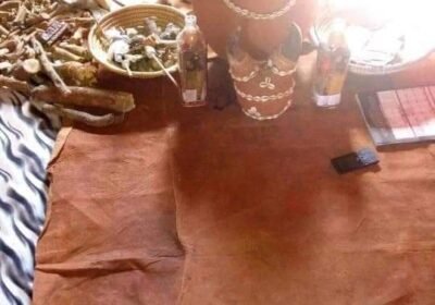 340642219_564502072414079_7801658335844809580_n