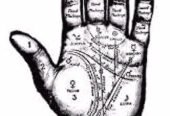 Palmistry, tarot, Sand and astrology+27 74 116 2667