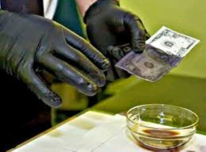 SSD CHEMICAL SOLUTION +27717507286 ACTIVATION POWDER USED FOR CLEANING BLACK MONEY+27717507286