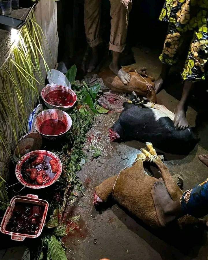 Islamic Voodoo Death spells ((+27735222291) Klerksoord, Mabopane, Dorandia, Nina Park, Phillip Nel Park, Pretoria Gardens , Proclamation Hill, Rosslyn, Soshanguve, Suiderberg, The Orchards, Themba, Theresapark, Tileba, Wolmer, Atteridgeville