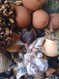 SANGOMA ™ +27790293623™ A TRADITIONAL HEALER /  SANGOMA / A SPELL CASTER AND A SPIRITUAL HEALER in East London , East Rand , Elliot , Engcobo , Fort beaufort , Fourways , Idutywa