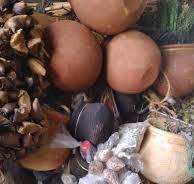 BEST SANGOMA +27790293623]]]⓶ TRADITIONAL HEALER  / SPIRITUAL HEALER / SPELLS CASTER  in  PRETORIA, SOSHANGUVE, MAMELODI, HAMMANSKRAAL,  South Africa, ATTRIDGEVILLE, MONTANA, CENTURION, MABOPANE, SOWETO, JOHANNESBURG, GERMISTON