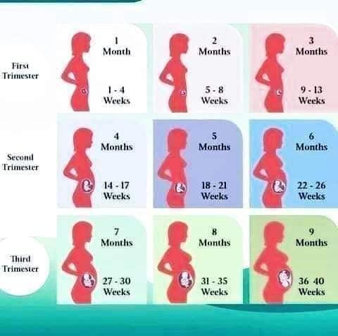 Abortion clinic based in Rustenburg, South Africa+27 63 034 8600