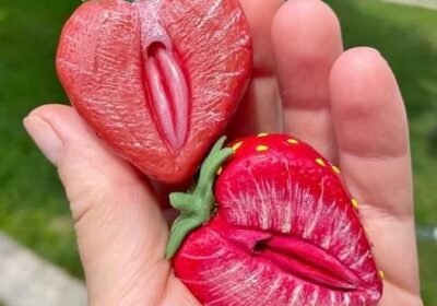 VV729147528092386248-1