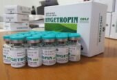 Jintropin CAS synthetic human growth hormone in Lusaka Zambia +27 74 676 7021