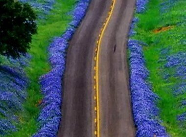 85dafe22-fd03-488b-927f-e72add820d0e