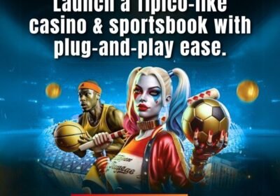 Dappsfirm-Tipico-Clone-Script