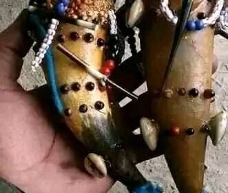 288421403_126525533392064_2386877826848660655_n-331×300-1