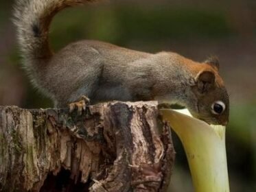 5963077_1673644127_15264124857_269500821887169_8179806425825386008_n