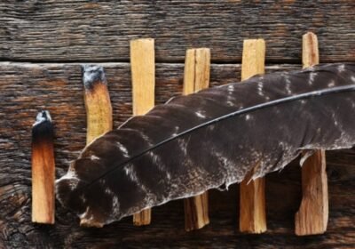 6603422_1716299385_0istockphoto-1293003247-612×612-1