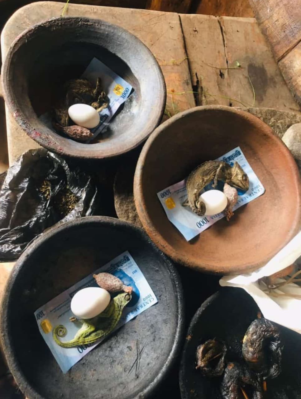 The Best Powerful SpirItual Herbalist Native Doctor IN Nigeria+2349159450040