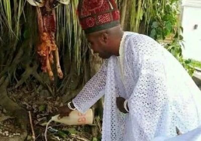 Screenshot_20250722-195255-1