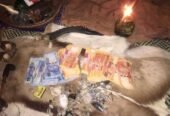 Powerful money spells with real results Call @ +27631229624 Strong and Easy Money Spells Chants That Really Work.