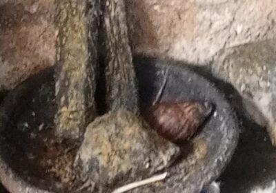 17653723670897398195979009389282