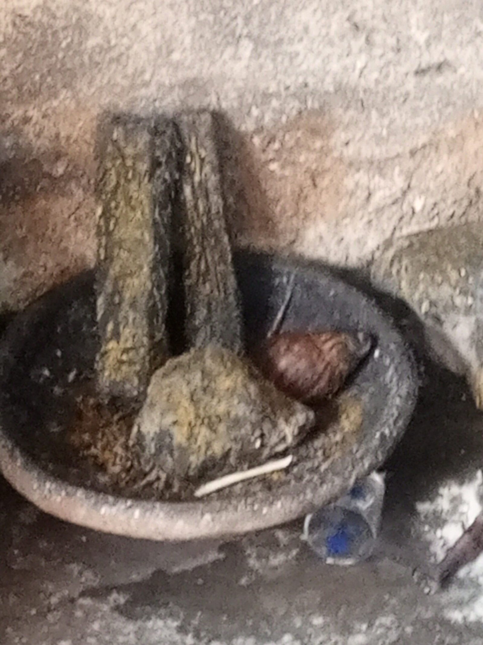 The Best Powerful SpirItual Herbalist Native Doctor IN Nigeria +2348117855171