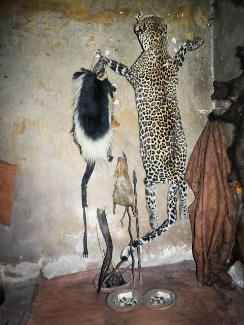 TRADITIONAL HEALER +27672740459 SANGOMA TO BRING BACK LOST LOVE SPELLS CASTER, The Most Powerful Black Magic Voodoo Spells Caster In Toronto, Johannesburg, Washington And OTHER Parts Of THE World.