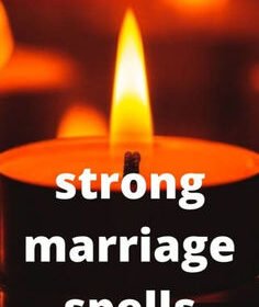 83d3f080fb3804dddcad17b493b33a6c